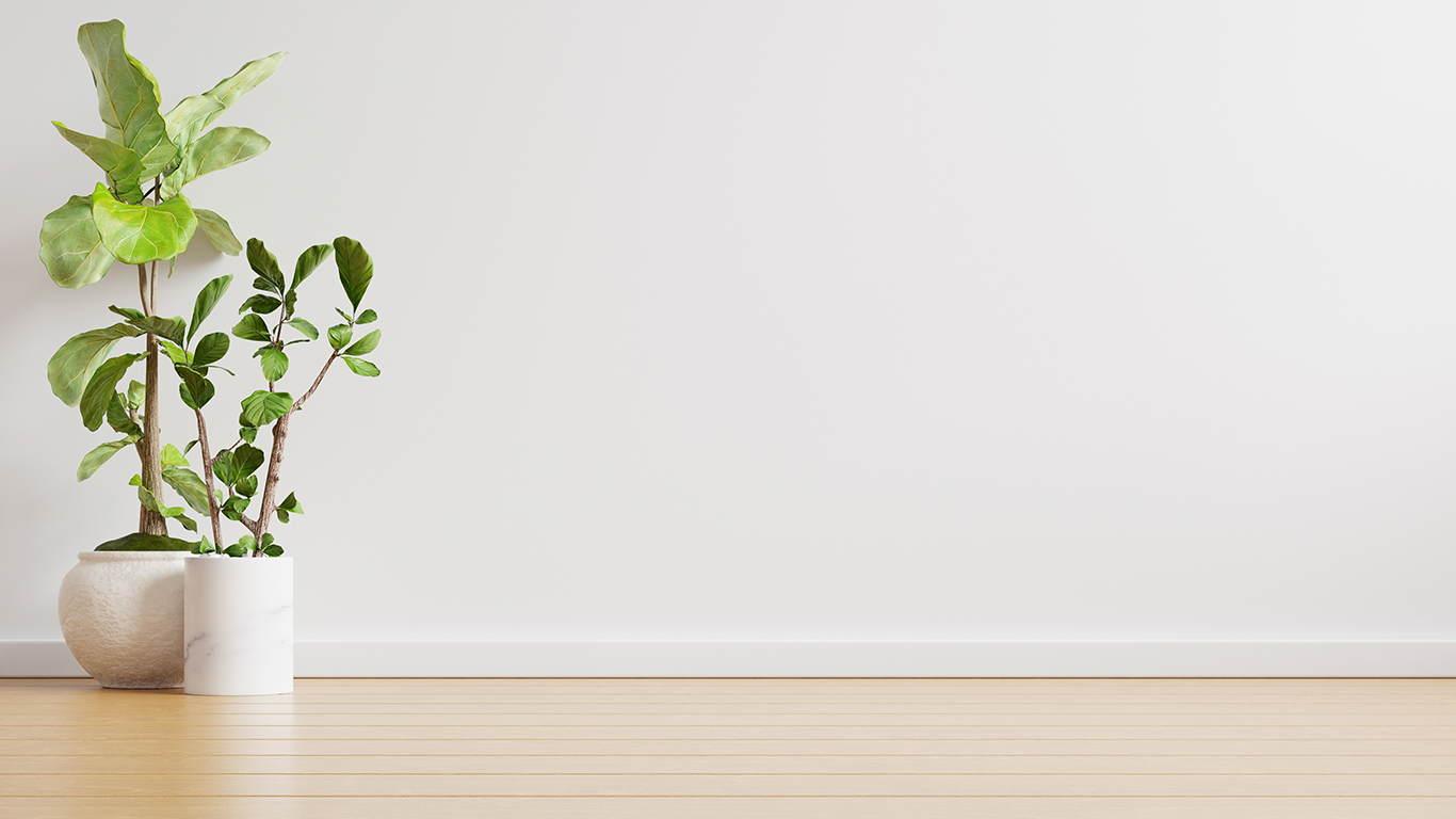 Fondo de promociones